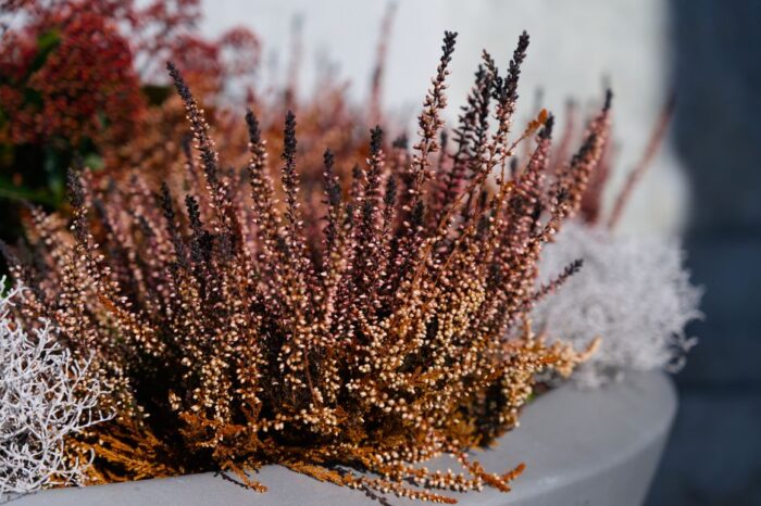 Een elegante voortuin met grote cortenstaal plantenbakken in diverse vormen en maten, perfect voor het verfraaien van uw buitenruimte.